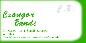 csongor bandi business card